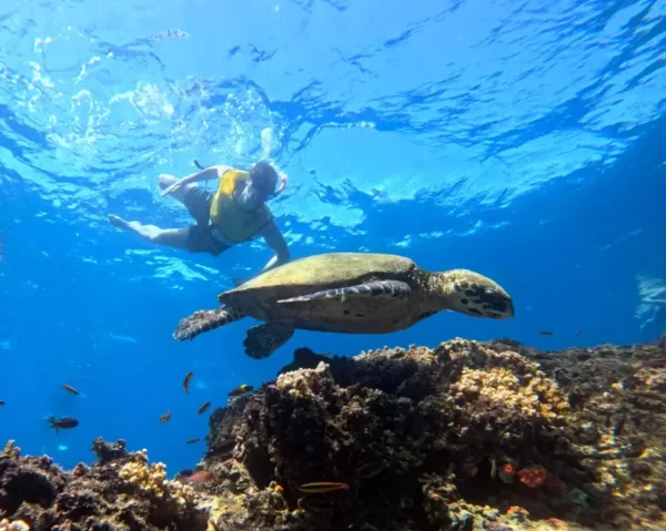 Snorkeling at Cano Island - Image 3